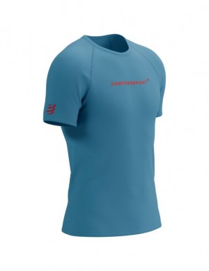 μπλουζακια ανδρικα Compressport Αθλητικά SS Logo Tshirt M μπλε | MIVEW-5197